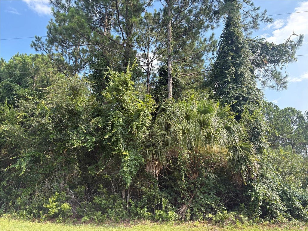 Photo of 17 Uhlerwood Court, Palm Coast, FL 32164 (MLS # FC319999)