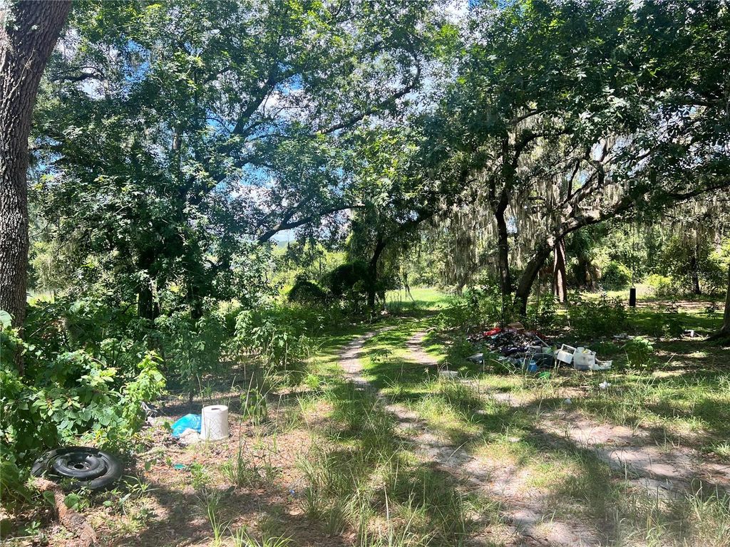 Photo of 16254 SE 273rd Terrace, Umatilla, FL 32784 (MLS # A4686019)