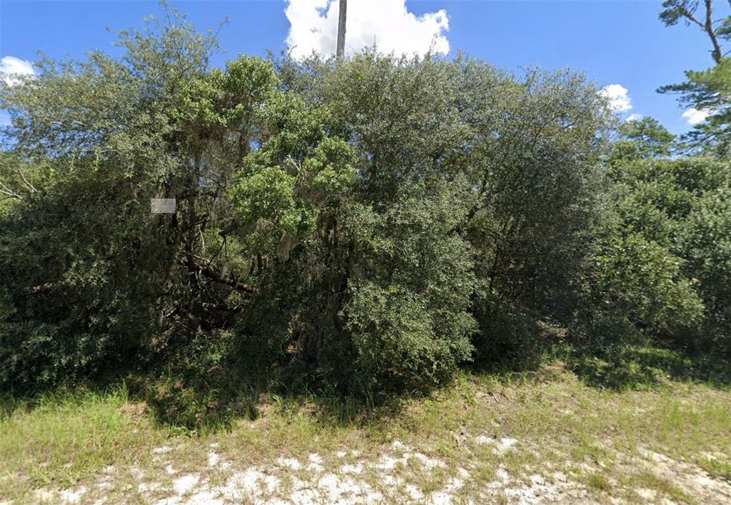 Photo of 2067 SW 178th Lane Road, Ocala, FL 34473 (MLS # O6378619)