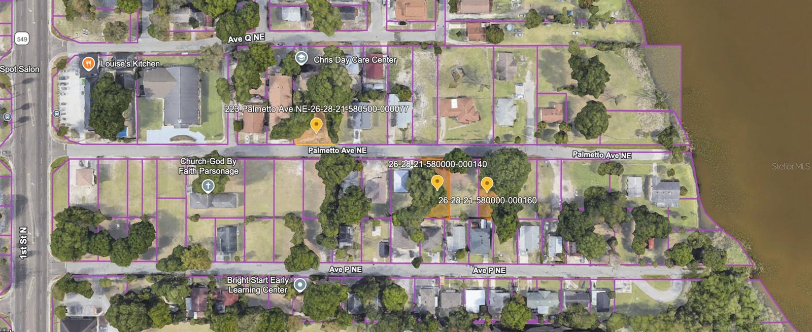 PALMETTO AVENUE NE