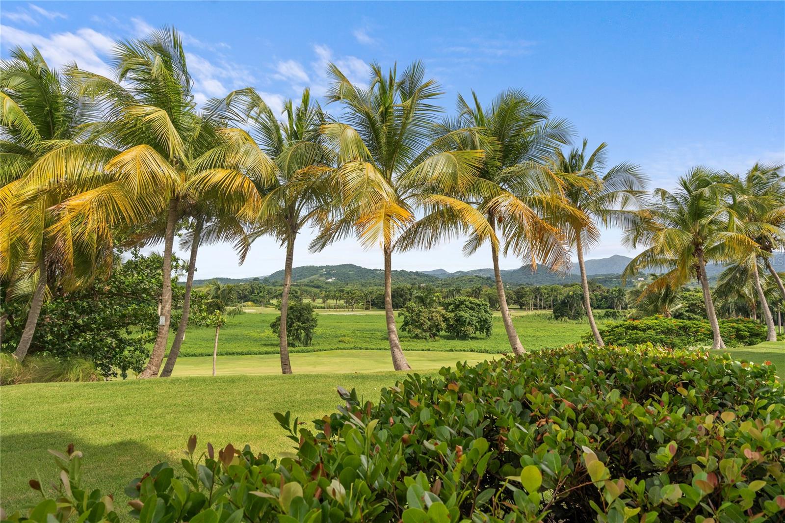 RIO MAR VILLAGE - Residential Lease