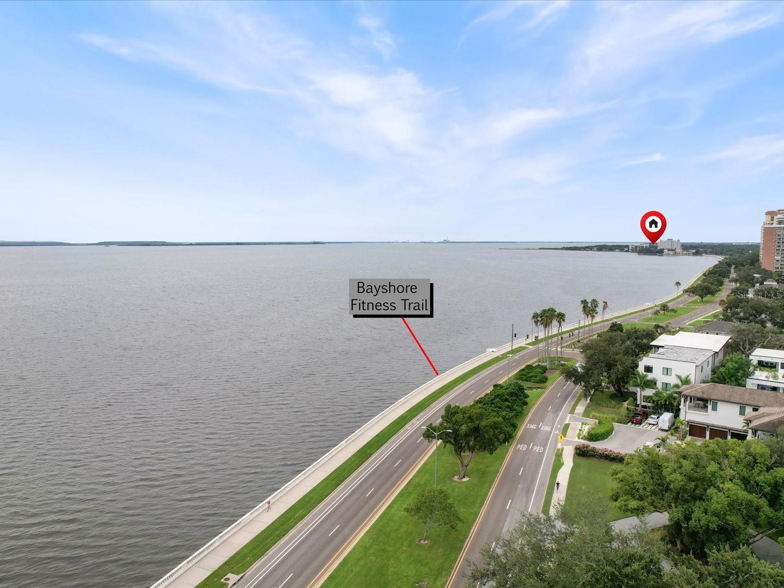 4950 BAYSHORE BOULEVARD 28