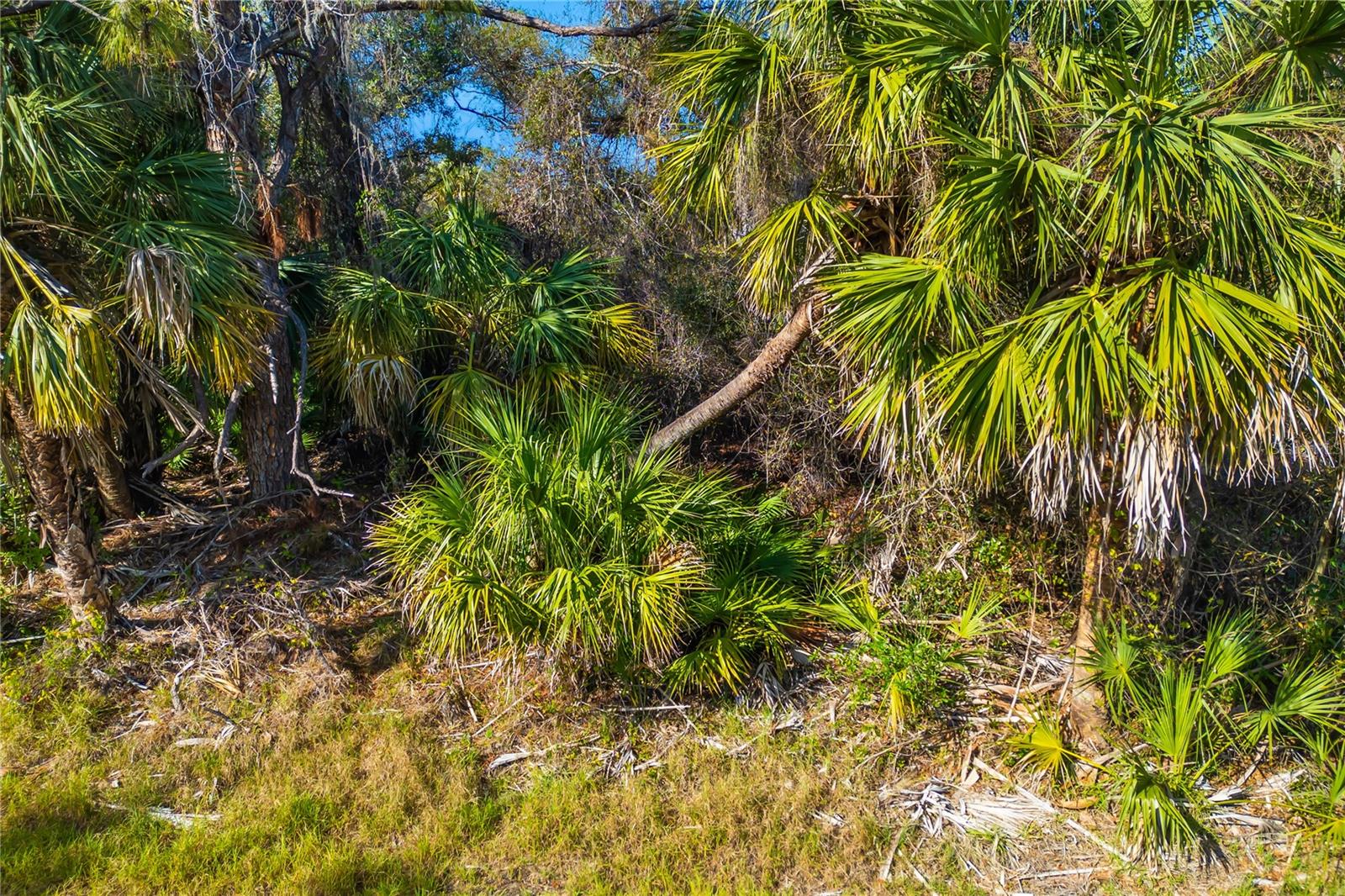 PORT CHARLOTTE SEC 030 - Land