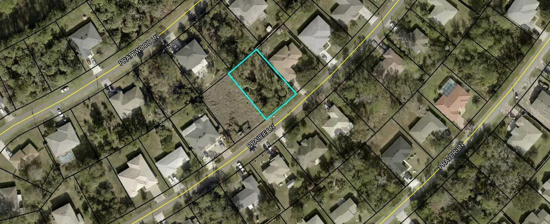 Beautiful lot located in desirable Belle Terre Subdivision. Choose your builder with no time limit. Conveniently located near schools, shopping, restaurants, medical facilities. You are a short distance to trails in the community if you enjoy walking, jogging or biking. Pickleball courts and golf courses are also close by. Very easy commute north to Historical St. Augustine and Jacksonville, or south to the "World’s Most Famous Beach," Daytona Beach. If you prefer, you can enjoy the day at beautiful Flagler Beach only a few minutes away with a beautiful pier that you can go fishing or just relax and enjoy the day! Palm Coast is a beautiful city with plenty of amenities to enjoy. Build your dream home here today!