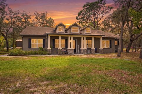 Photo of 14582 Boland Avenue, Spring Hill, FL 34610 (MLS # W7884061)