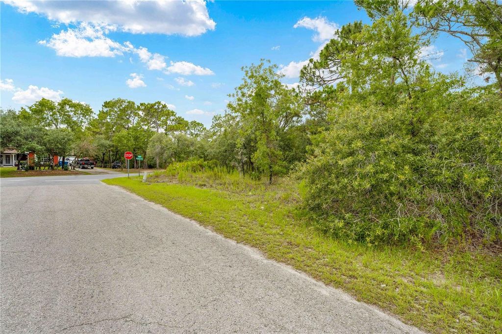 Photo of 0000 Mansign Road, Weeki Wachee, FL 34613 (MLS # TB8403930)