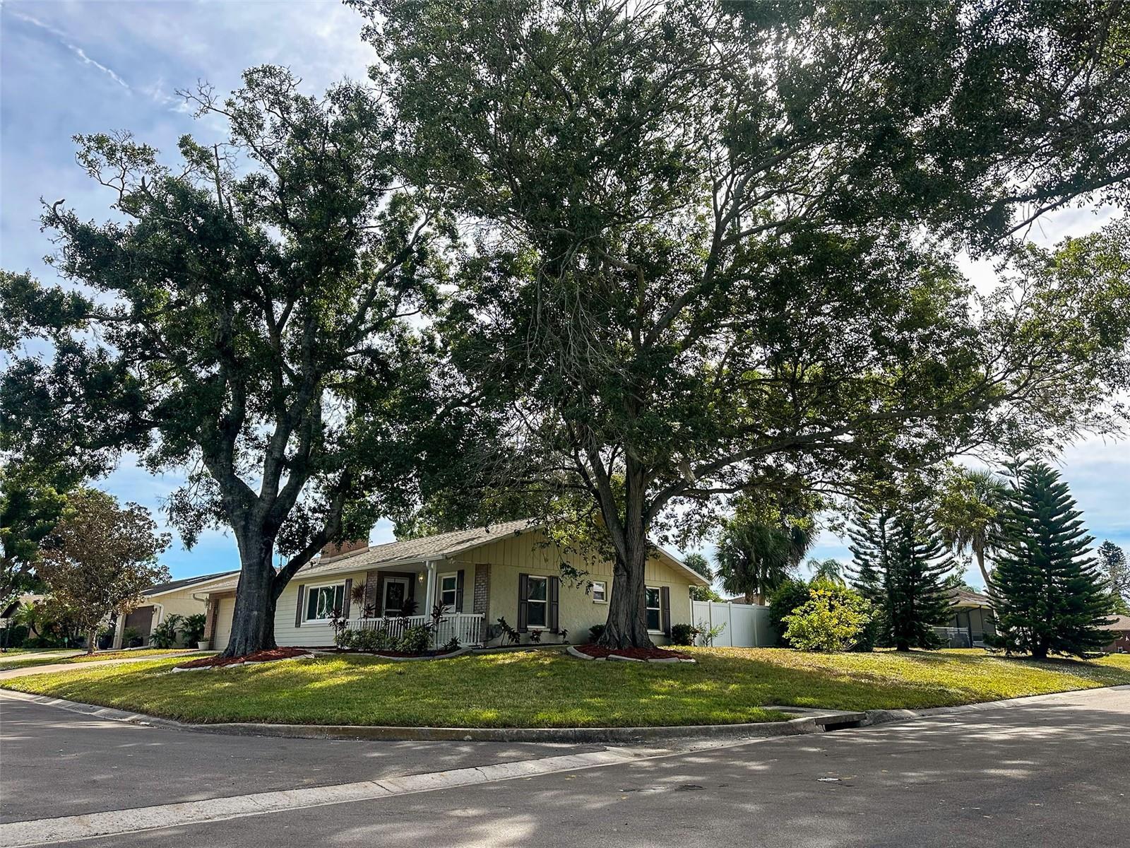 UNIVERSITY PINES - Residential