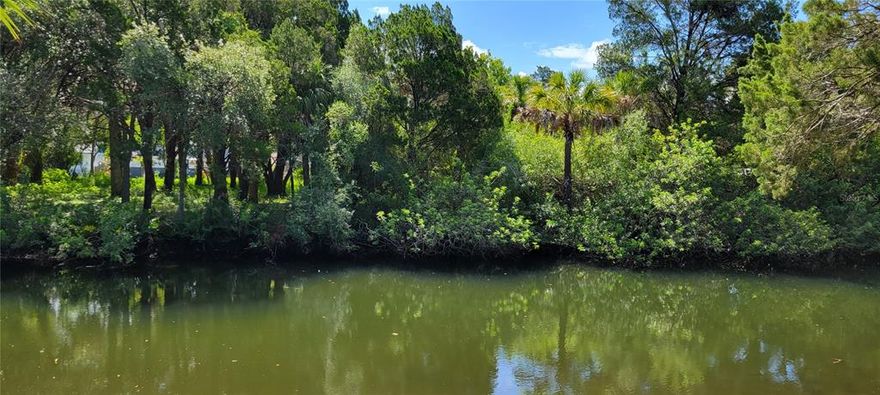This WATERFRONT LOT IS LOCATED IN THE CAPE CAY SUBDIVISION. Featuring 50 feet of waterfront with access to the GULF OF MEXICO. Close by you will find all your local restaurants like INN ON THE GULF, SAM'S BEACH BAR, OLLIE'S ON THE BEACH and GET HOOKED. SHOPPING and HOSPITALS are near by as well. The TAMPA BAY AIRPORT, TAMPA BAY, CLEARWATER BEACH, HOMOSASSA SPRINGS and CRYSTAL RIVER are under a 60 minute drive. YOU can fish right off your property or take a short kayak, jet ski or boat ride (passing Mamatees & dolphins along the way) to the GULF OF MEXICO where the fish are plentiful, the fun is never ending and the SUNSETS are always awesome.