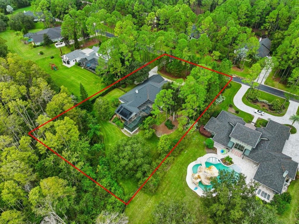 Photo of 412 Pine Bluff Drive, Lutz, FL 33549 (MLS # TB8416616)