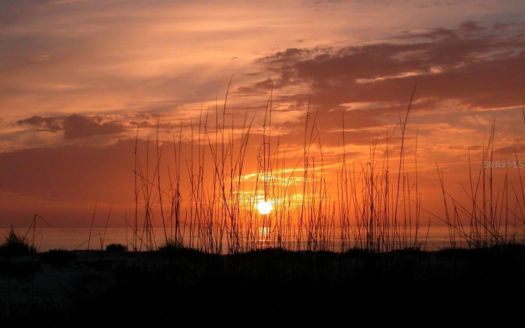 QUEENS HARBOUR - Residential