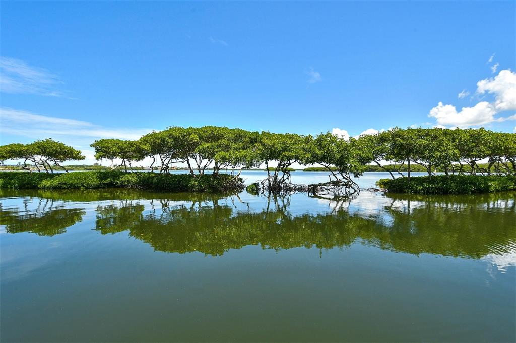 QUEENS HARBOUR - Residential