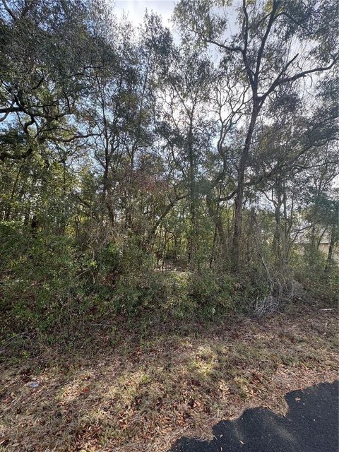 Photo of Locust Loop Terrace, Ocala, FL 34472 (MLS # OM716157)