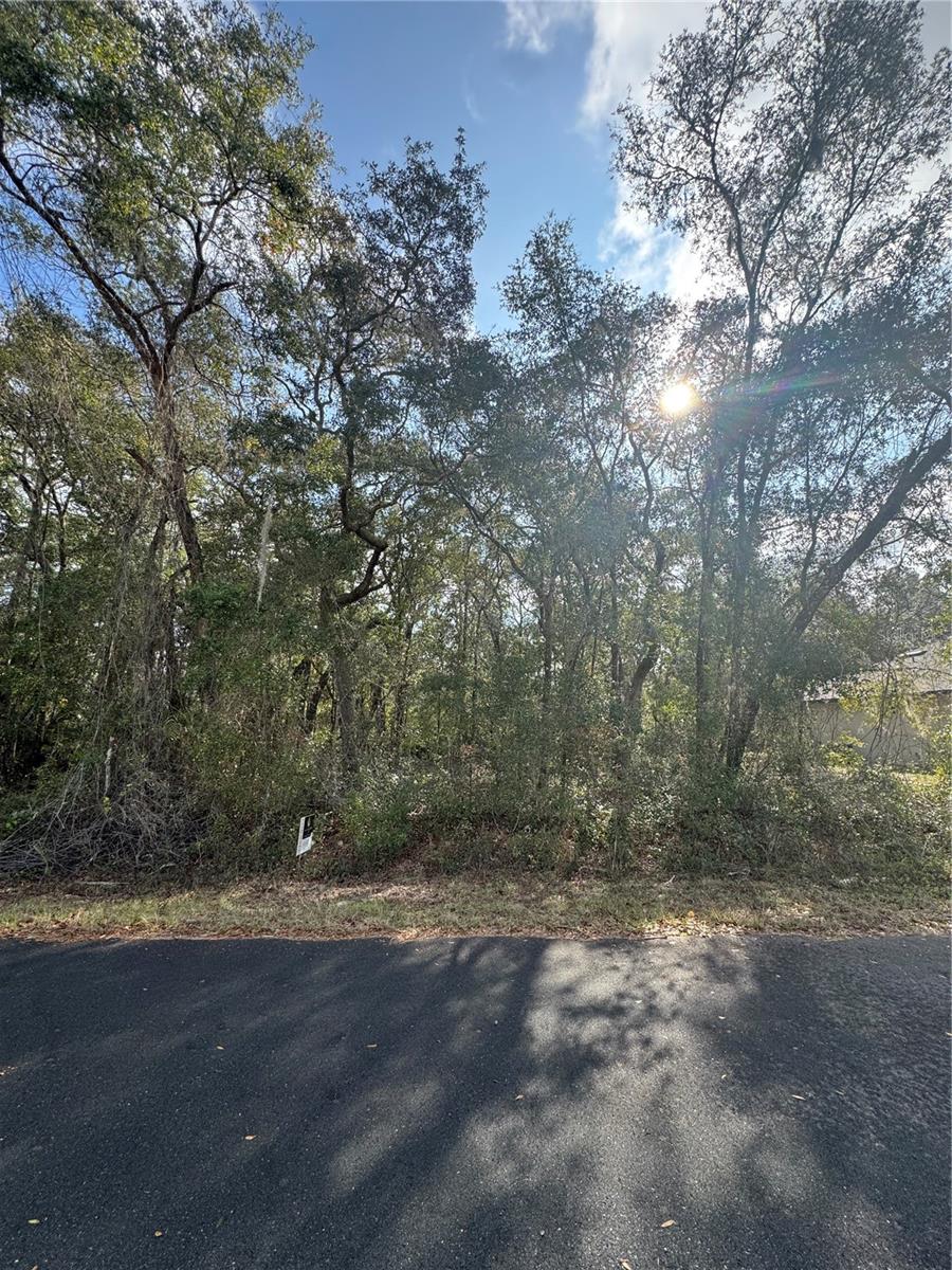 SILVER SPGS SHORES UN 51 - Land