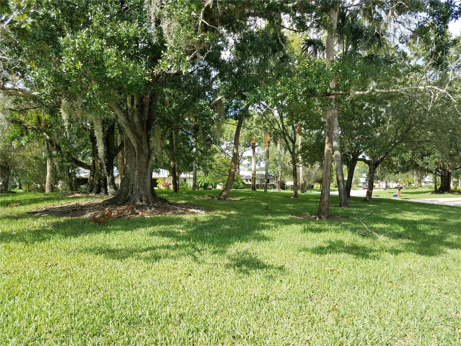 PALM-AIRE AT SARASOTA 11-A - Residential Lease