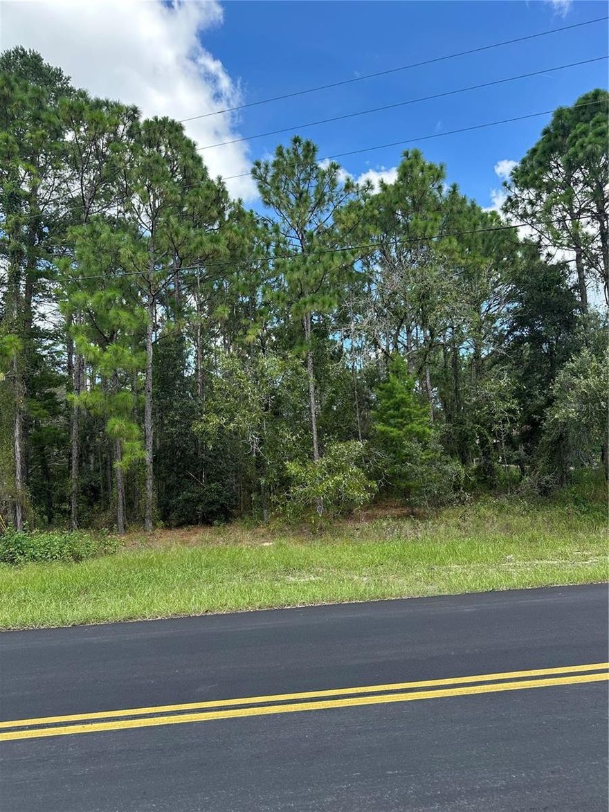 Location, Location, Location! This exceptional 0.34-acre lot is situated in the desirable Cypress Village at Sugarmill Woods—an established, family-friendly golf community. The lot sits high and dry, offering peace of mind with no flooding concerns. 
Enjoy being just minutes from shopping, parks, and the stunning natural springs—perfect for weekend adventures with the family. Surrounded by elegant, upscale homes, this lot provides the ideal blend of privacy and community. Cypress Village offers impressive amenities including championship golf courses, a clubhouse, pool, and fitness center.
Whether you’re planning to build your dream home or seeking a solid investment opportunity, this lot is the perfect place to start. Don’t miss your chance to own a piece of paradise in beautiful Homosassa!