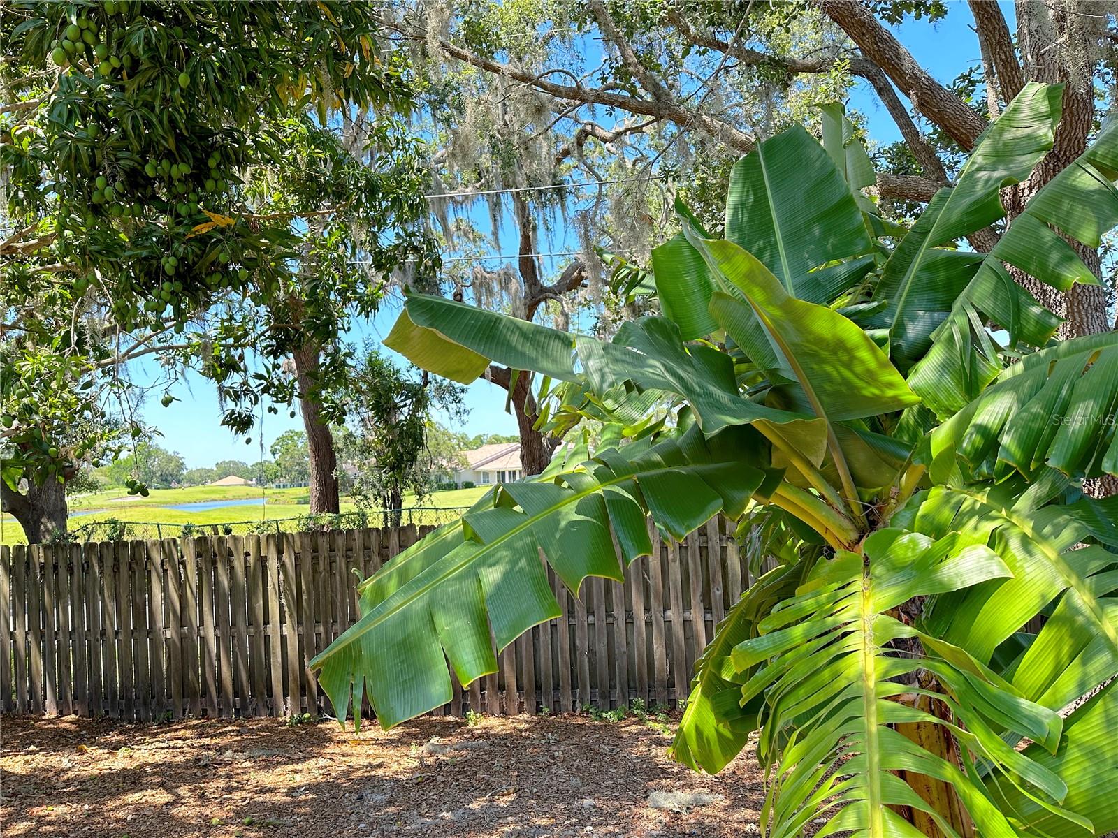 KENSINGTON OAKS - Residential