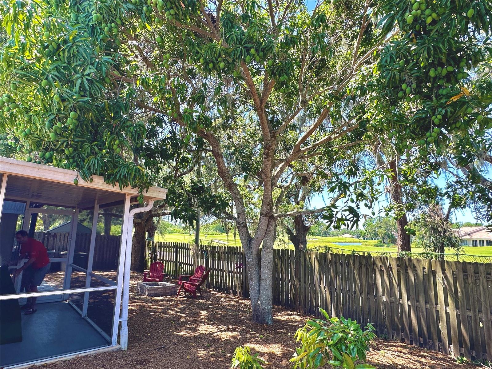 KENSINGTON OAKS - Residential