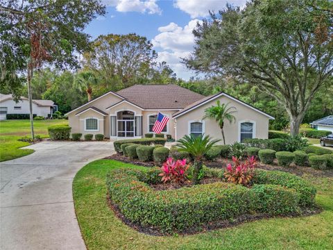 A home in LADY LAKE