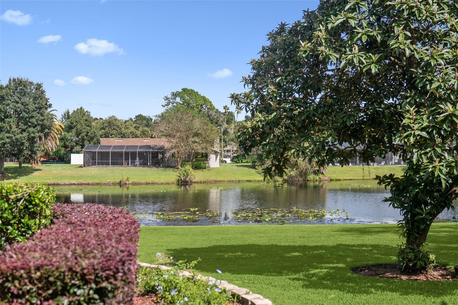 SWEETWATER COVE - Residential