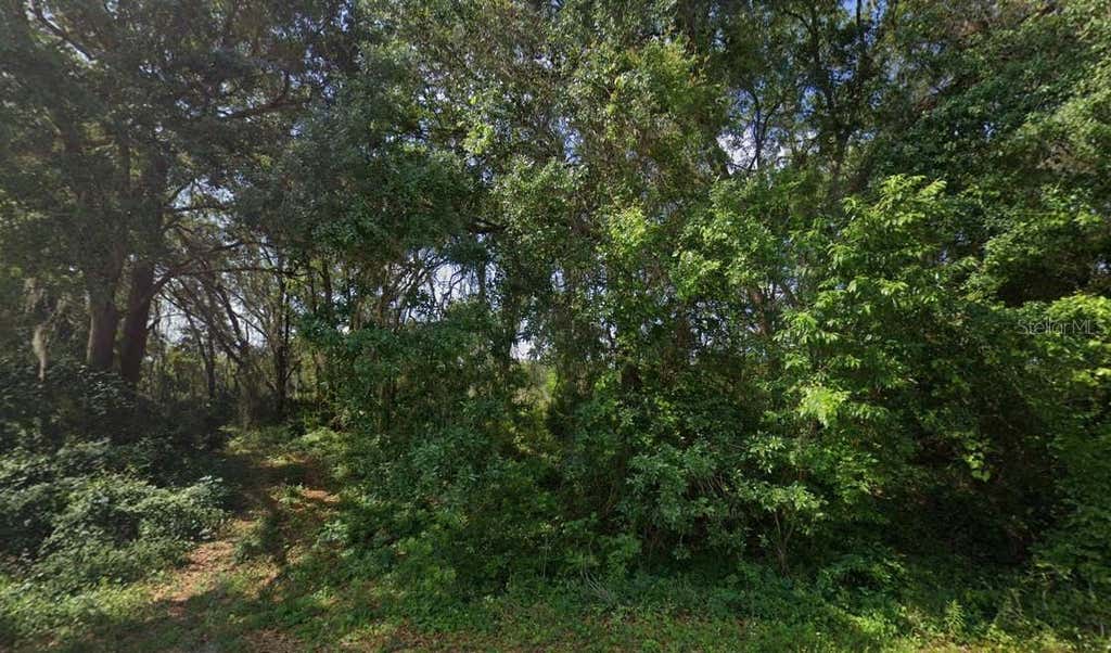 Photo of 0 SW 79th Terrace Road, Ocala, FL 34473 (MLS # TB8532838)
