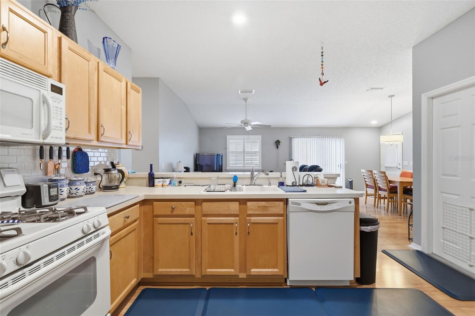 VILLAGES OF SUMTER EDGEFIELD VILLAS - Residential