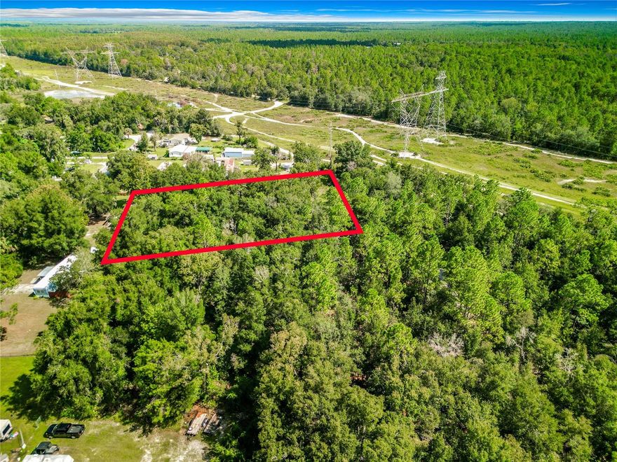 Fantastic opportunity to build your dream home or investment property on this generous one acre vacant lot! Located in the beautiful City of Crystal River this parcel offers a perfect blend of space and convenience.  Also available neighboring 1 acre lot 3128 N Bert Terr also a 1 acre lot available.