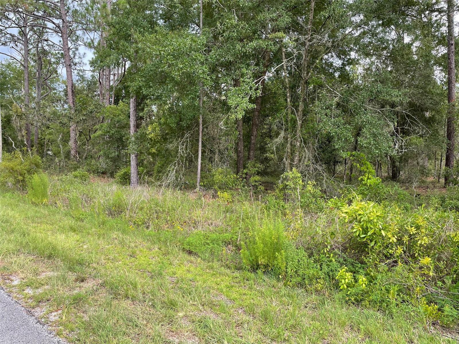 RAINBOW LAKES ESTATES - Land