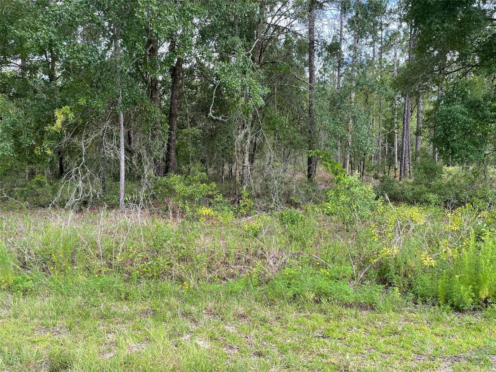 BUILD YOUR DREAM HOME ON THIS VERY NICE WOODED 1/4 ACRE (0.24 Acres). NO MOBILE HOMES. LOCATED ON A PAVED ROAD WITH NO HOA FEES OR TIME LIMIT TO BUILD. NEAR ELECTRIC. RAINBOW LAKES ESTATES HAS 2 PLAYGROUNDS, BONABLE LAKE WITH A FISHING PIER, TIGER LAKE WITH BOAT RAMP, EXERCISE ROOM, COMMUNITY CENTER, BASKETBALL AND TENNIS COURT. CONVENIENT TO DOWNTOWN DUNNELLON GREAT FOR QUAINT ANTIQUE SHOPS, RESTAURANTS, SHOPPING, OCALA, GAINESVILLE, GULF OF MEXICO AND THE CRYSTAL-CLEAR WATERS OF RAINBOW SPRINGS STATE PARK WHERE YOU CAN ENJOY SWIMMING, KAYAKING, CANOEING, SNORKELING, TUBING AND PICNICING.