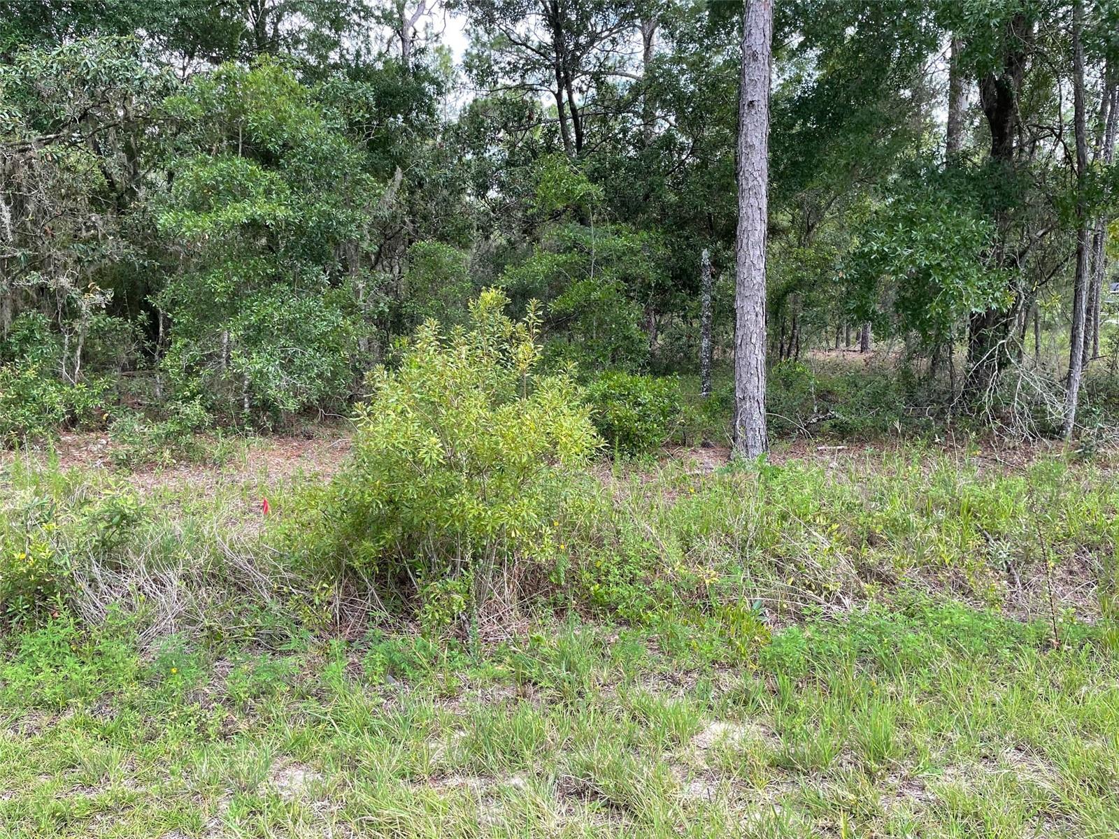 RAINBOW LAKES ESTATES - Land