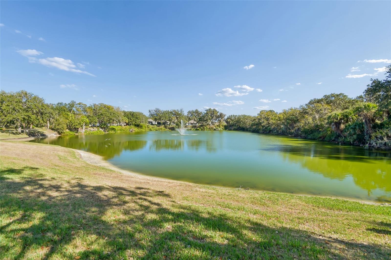 WATER OAK - Residential