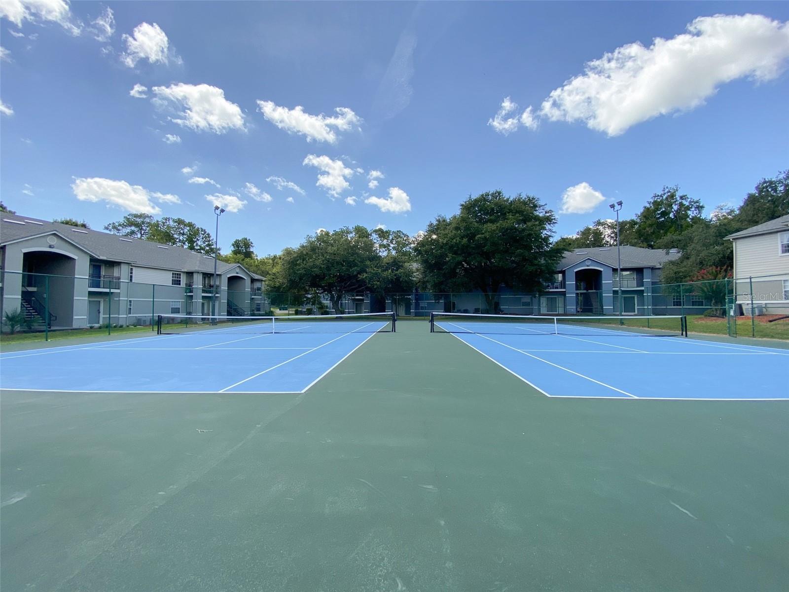 WINDSOR PARK AT GAINESVIL - Residential