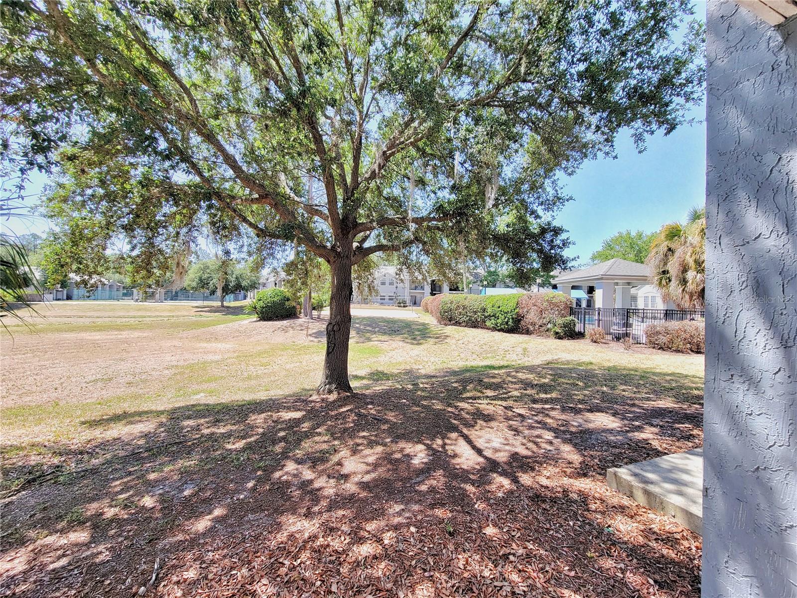 WINDSOR PARK AT GAINESVIL - Residential