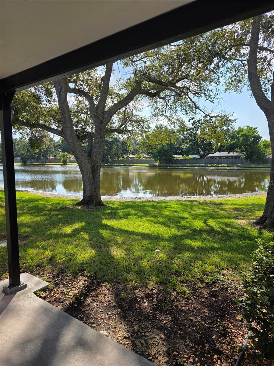 FAIROAKS NORTH A CONDO - Residential Lease