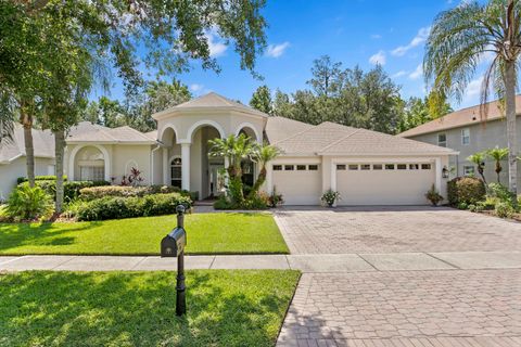 17318 EMERALD CHASE DRIVE TAMPA FL 33647
