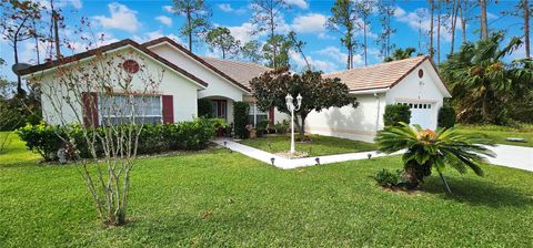 A home in PALM COAST