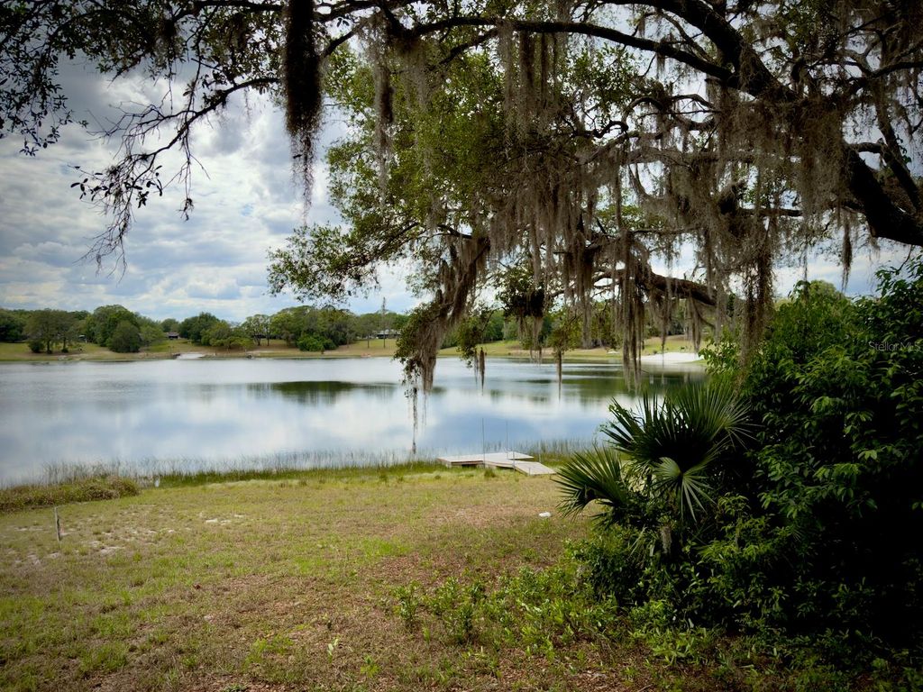 Photo of 00 SE 146th Terrace Road, Ocklawaha, FL 32179 (MLS # OM723873)