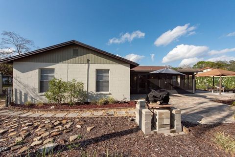 A home in LUTZ