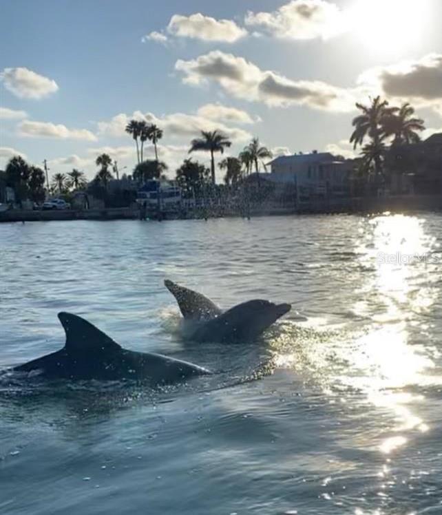 THE ESTATES - Residential