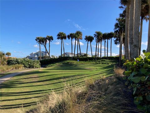 A home in PONCE INLET