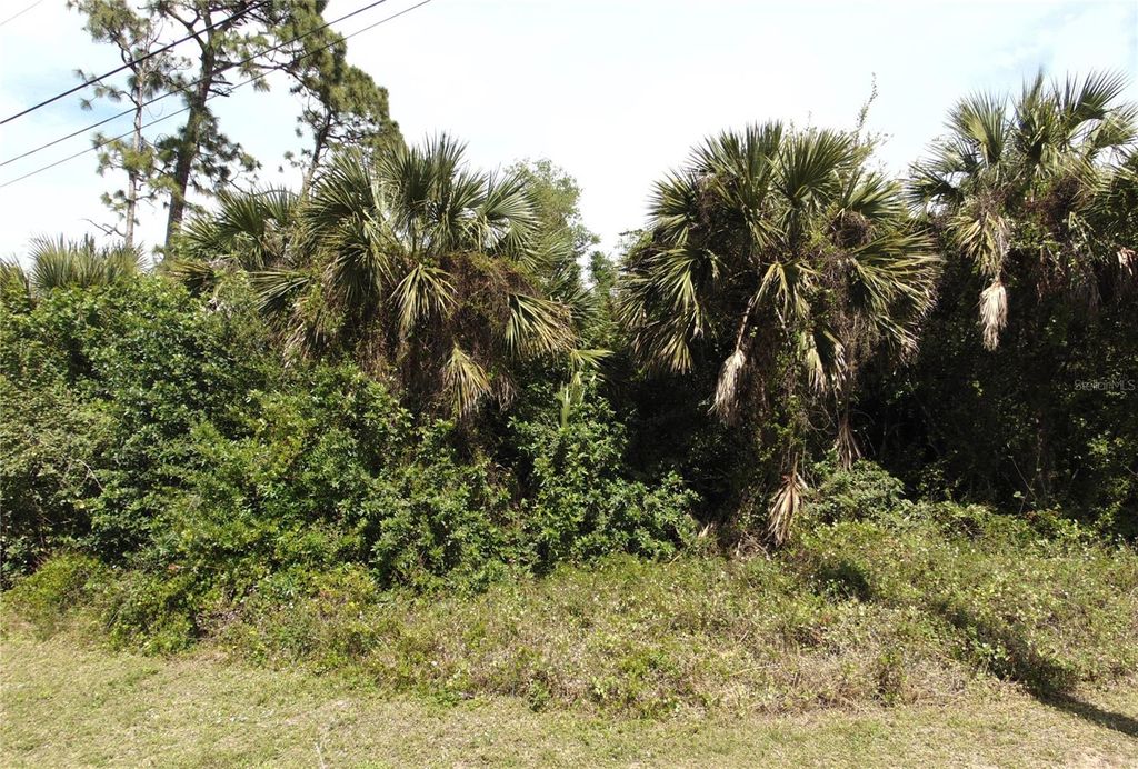 Photo of 18496 Quaint Avenue, Port Charlotte, FL 33948 (MLS # C7489842)