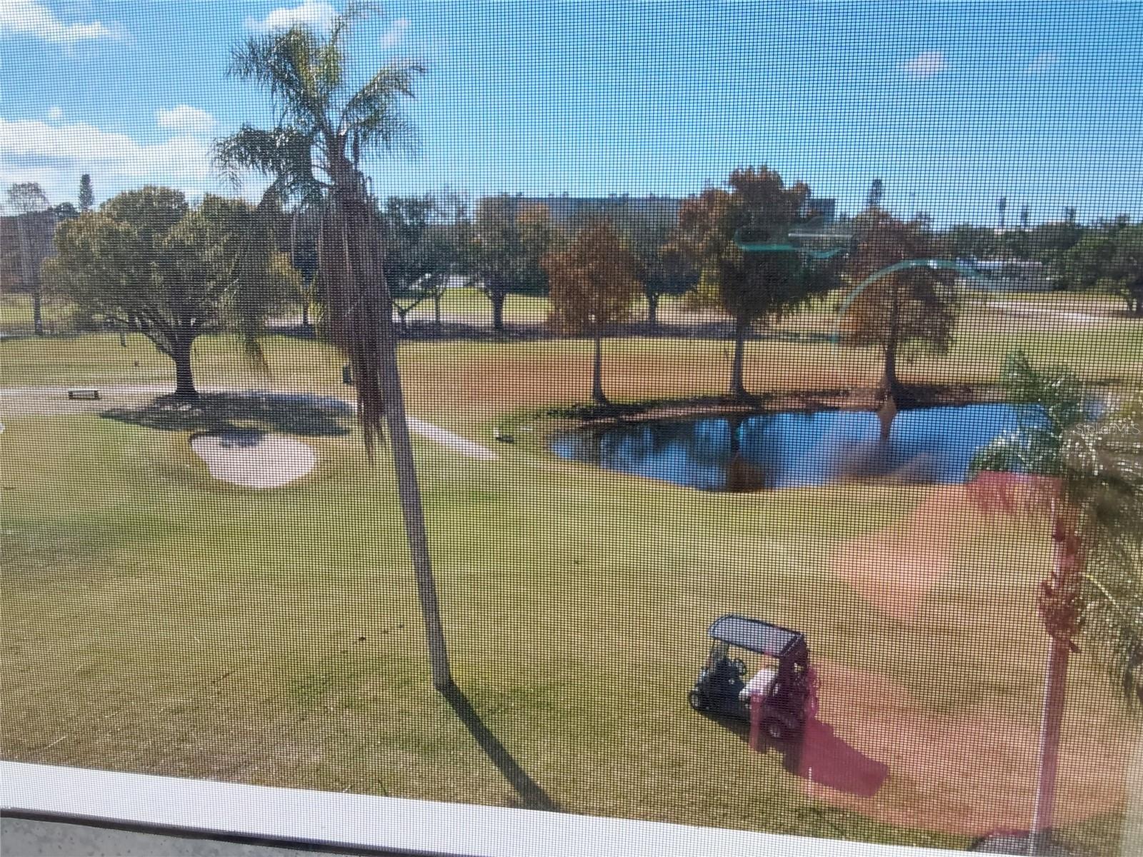 THE WOODS AT PINEBROOK - Residential