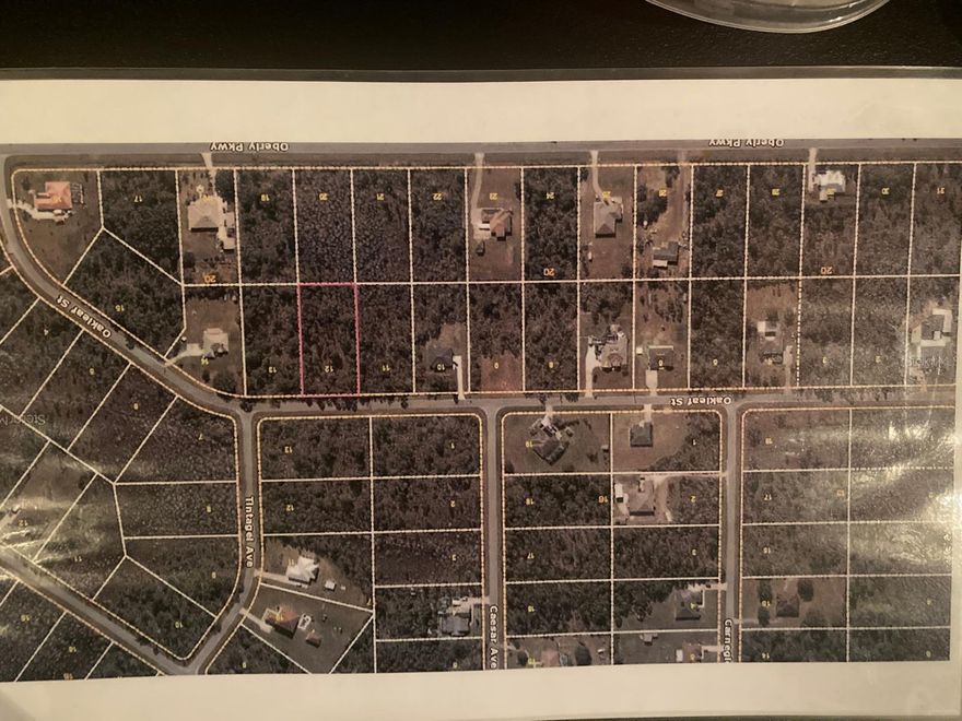 This is a residential piece of land located in Wedgefield, a golf/equestrian community of Orange County.  Residents can enjoy great amenities such as a championship 18-holes golf course and the country club with restaurant and bar, Bicycle lanes, community park, picnic pavillion, playground and sports complex with fields for baseball, softball, soccer, football and sand volleyball court.