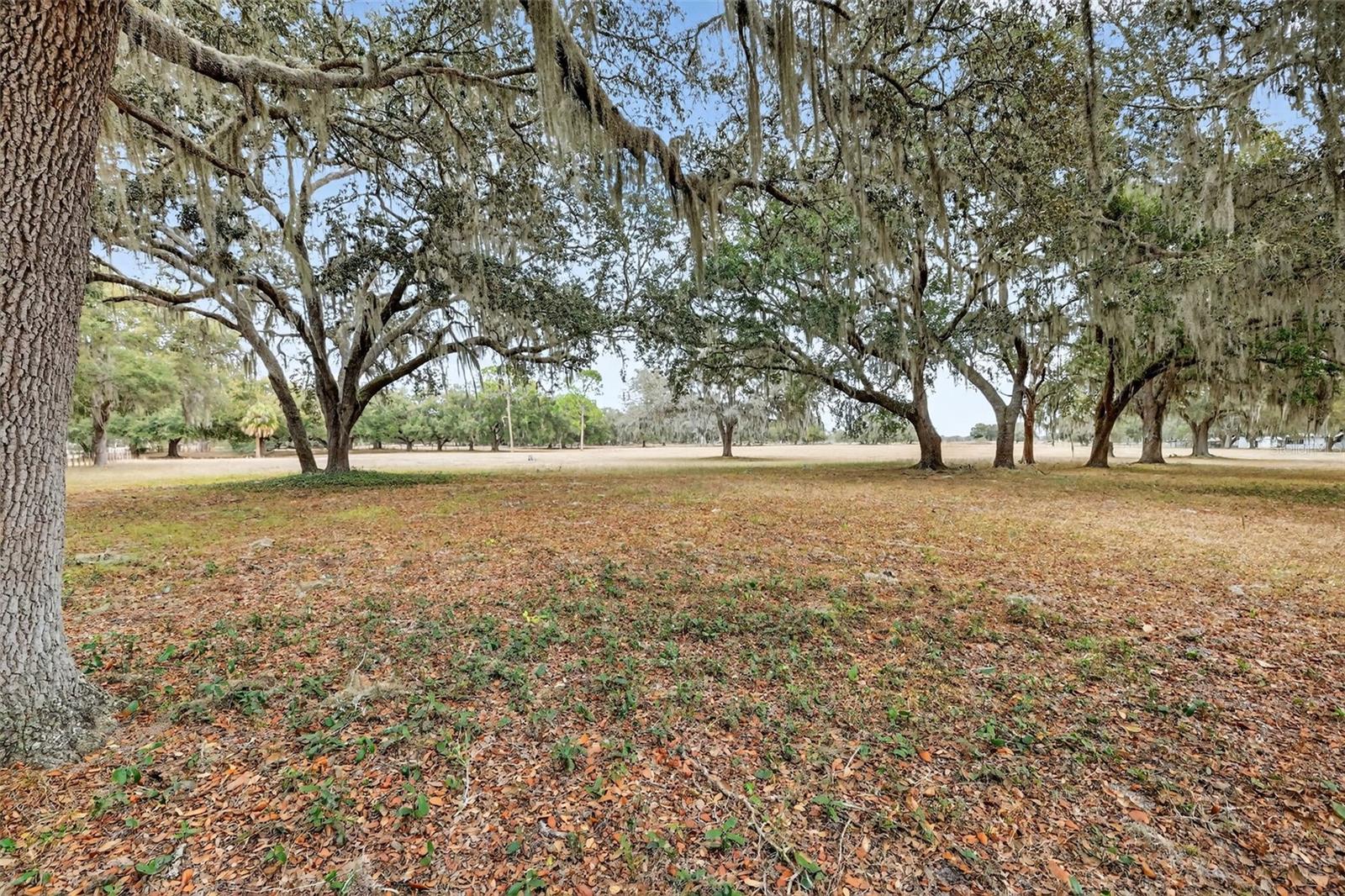 CITY/BUSHNELL - Residential