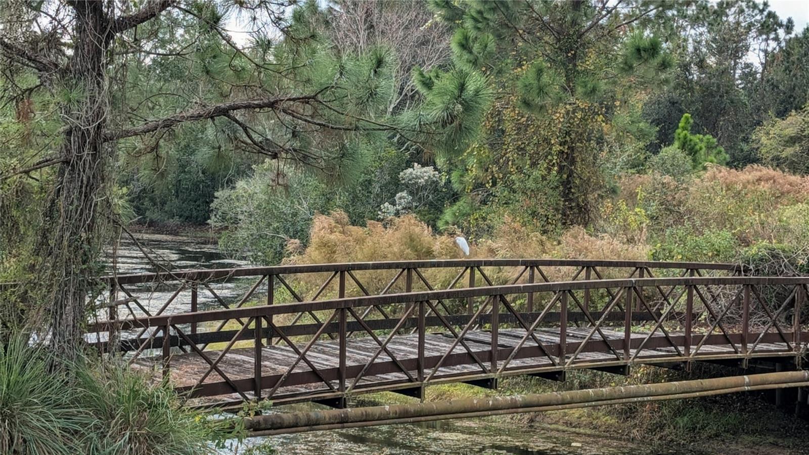 04 FAIRWAYS - Residential