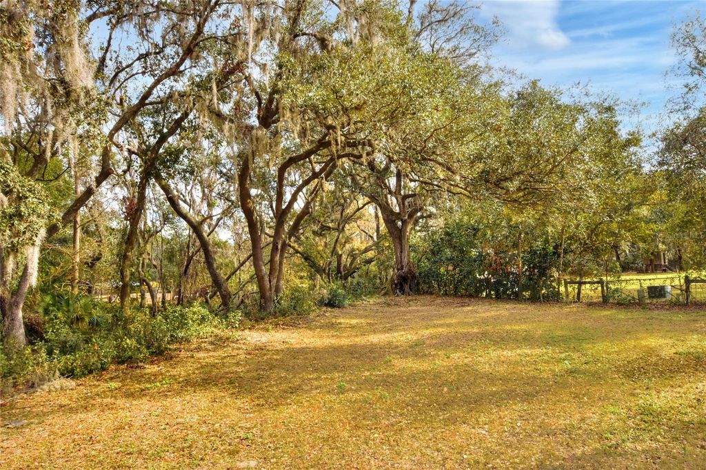 Photo of 11735 Knights Griffin Road, Thonotosassa, FL 33592 (MLS # TB8343422)