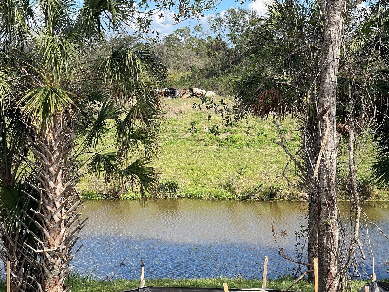 PORT CHARLOTTE 16TH ADD 01 PT REP - Residential