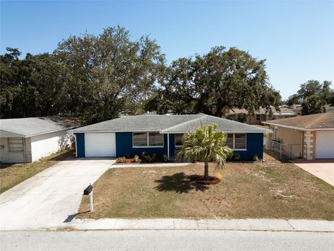 Photo of 3530 Umber Road, Holiday, FL 34691 (MLS # TB8456171)