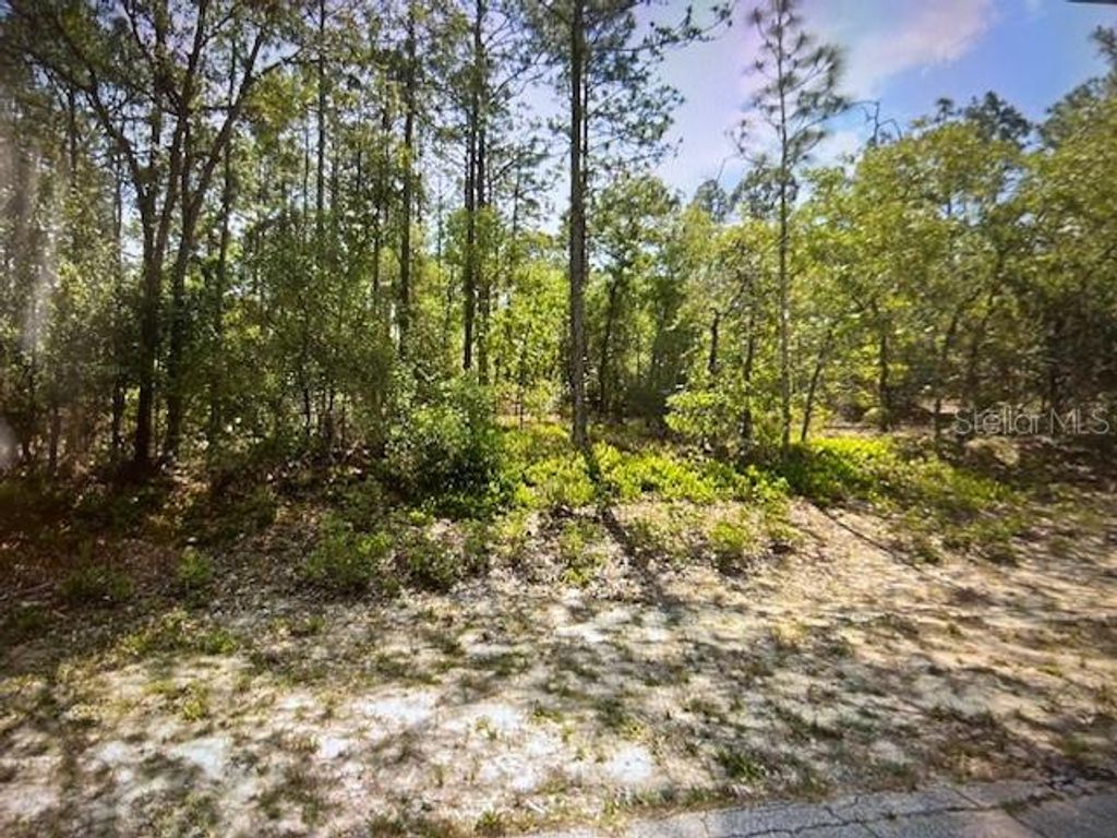 Photo of 4060 W Alamo Drive, Beverly Hills, FL 34465 (MLS # OM714197)