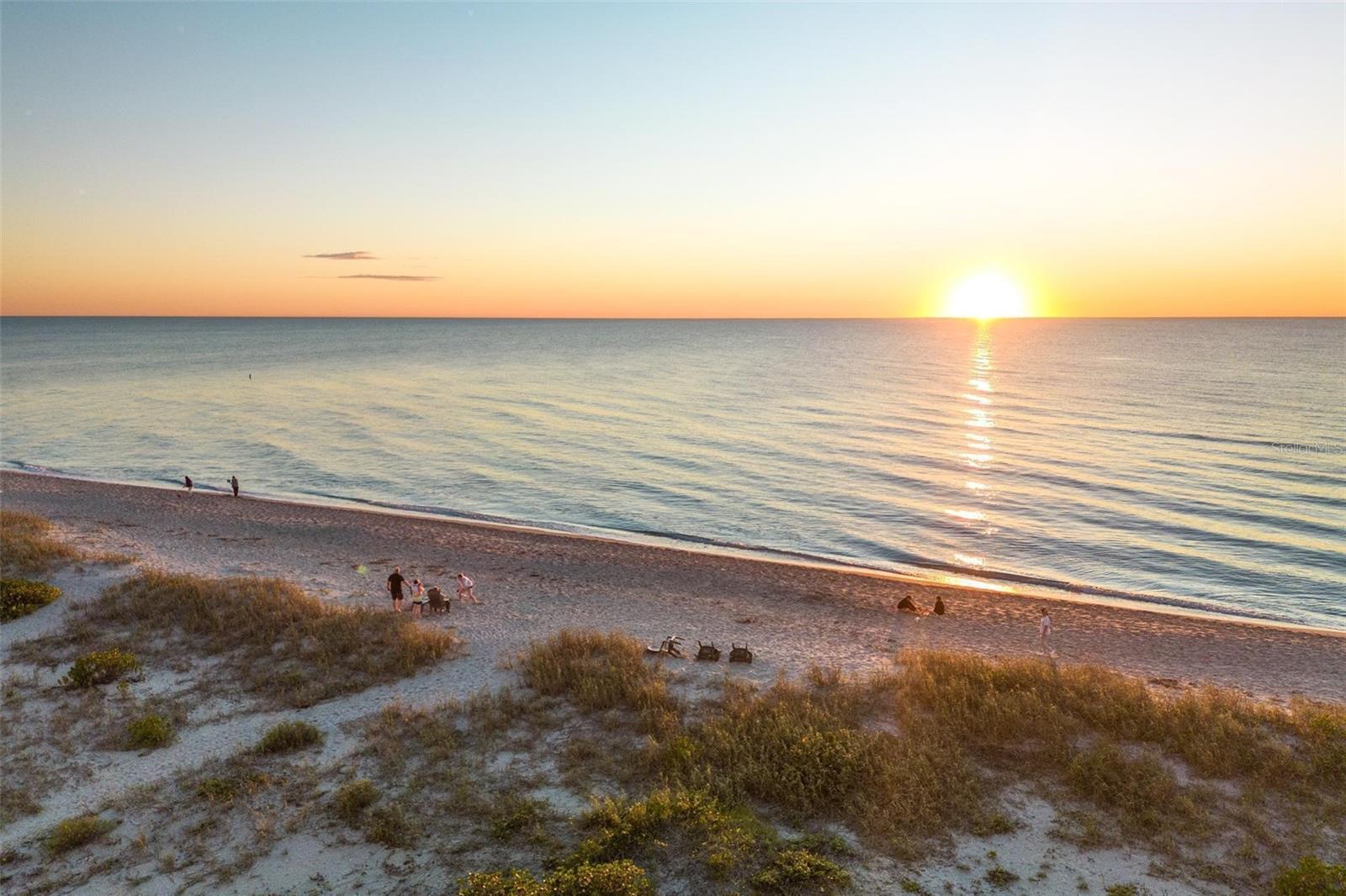 GRAND PALM - Residential