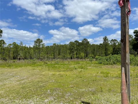 Photo of 8107 W Mayfair Drive, Homosassa, FL 34448 (MLS # U8159965)